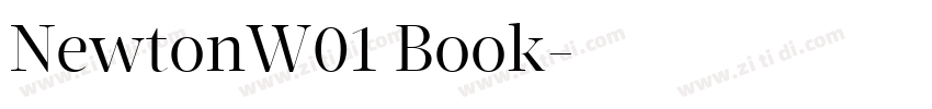 NewtonW01 Book字体转换